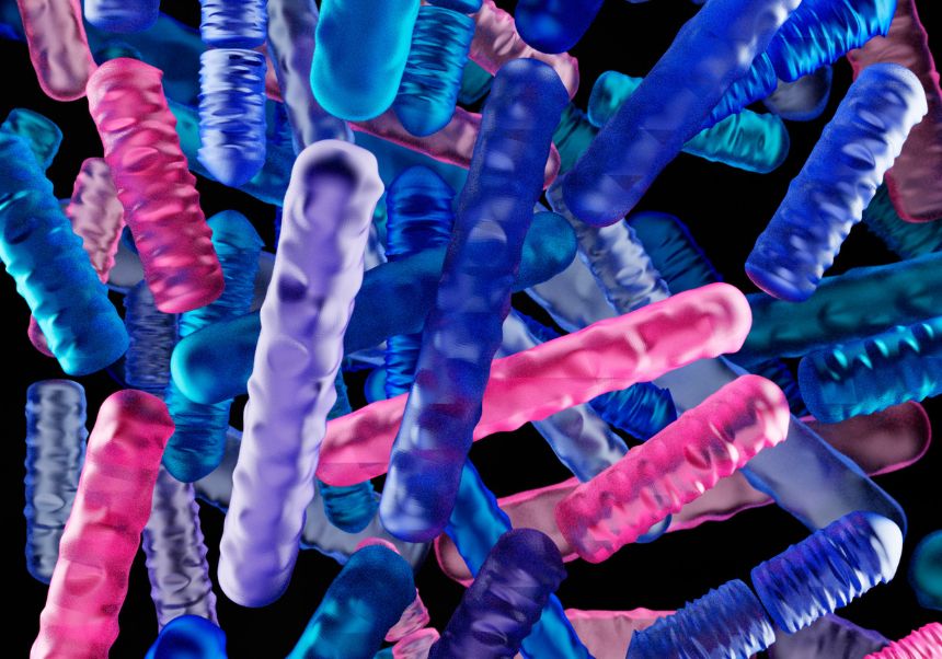 Congreso Internacional Virtual de Ciencia de Polímeros